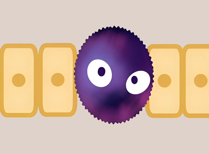 항암-효과-가능성