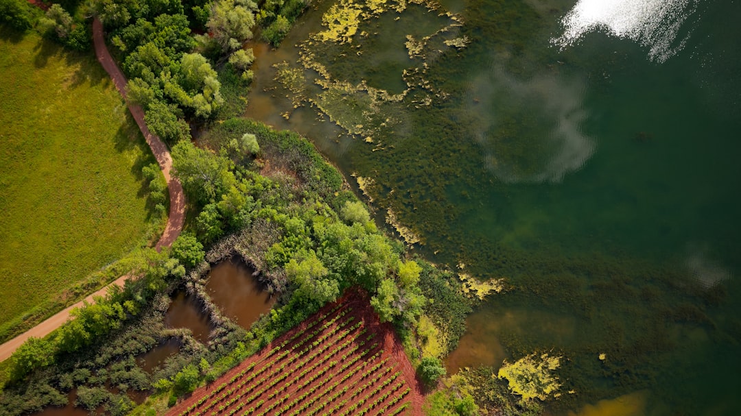 Land