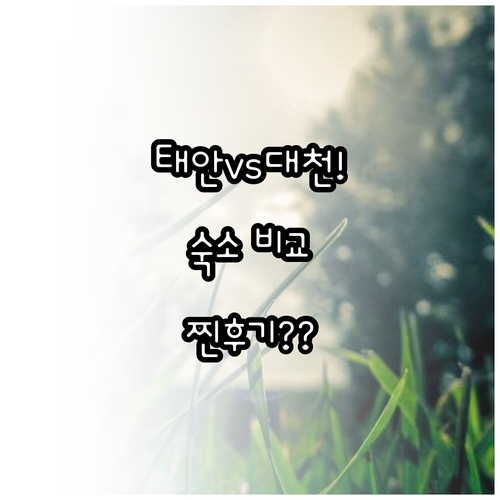 직접 다녀온 분들이 추천하는 태안 영..
