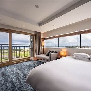 제주도 유채꽃 시기와 교통 그리고 숙박