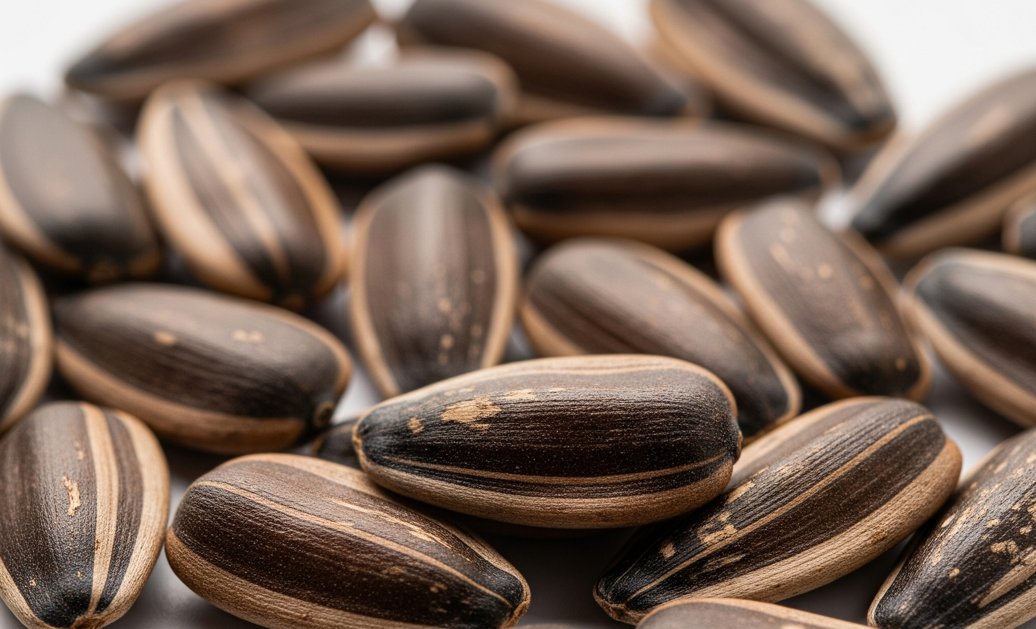 해바라기씨 관련 이미지