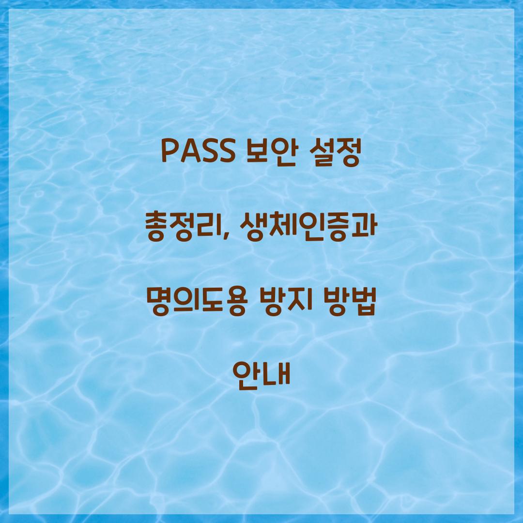 PASS 보안 설정 총정리: 명의도용 방지부터 생체인증까지