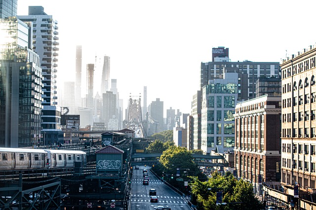 전입신고 세대주 확인