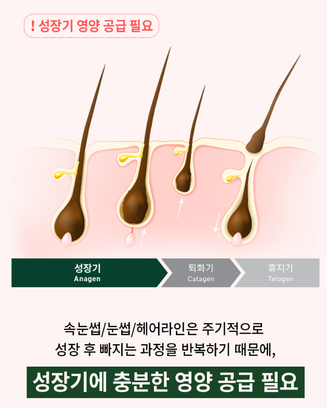 바이브랩 속눈썹 영양제