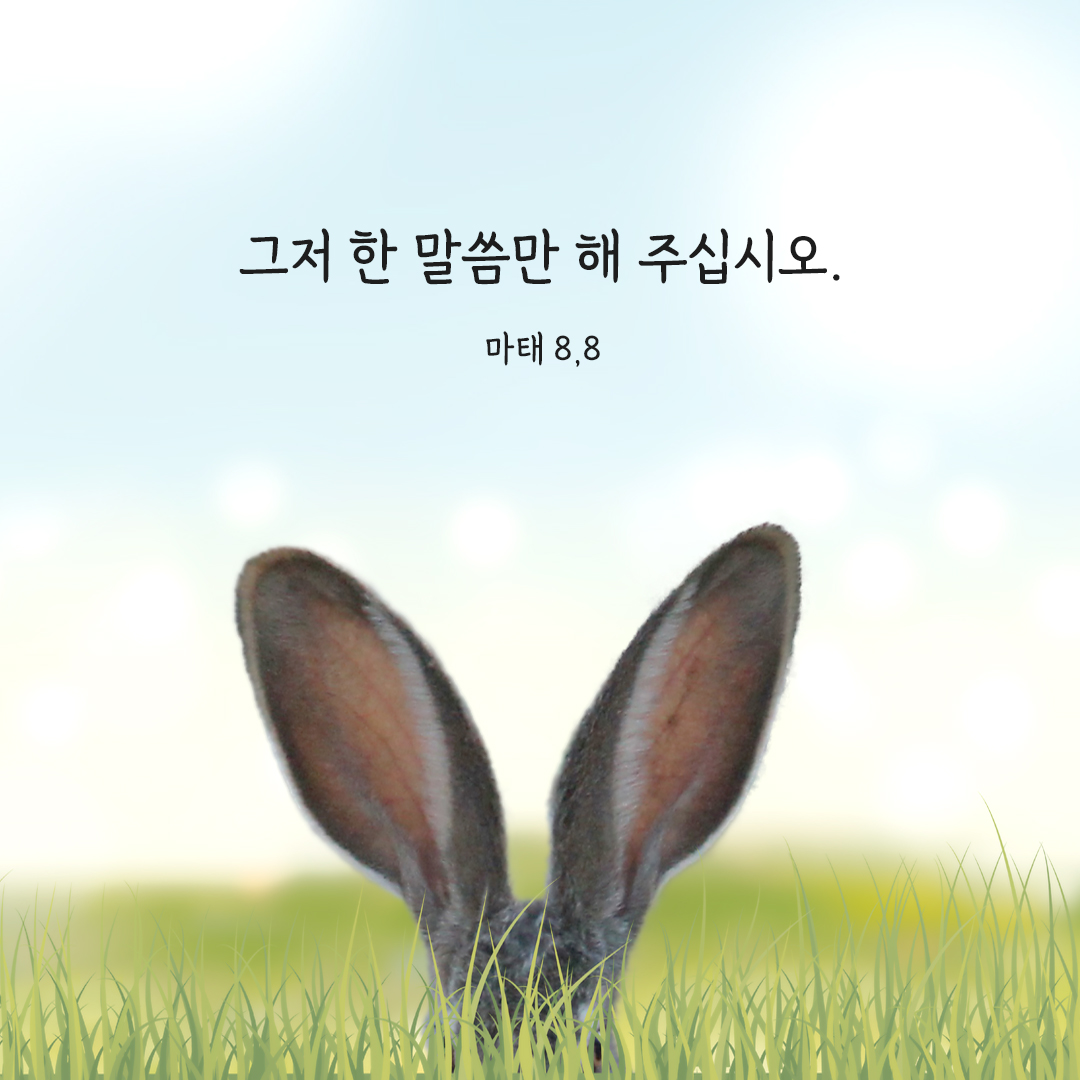 그저 한 말씀만 해 주십시오. (마태 8,8) 마태오복음 성경 말씀 카드 이미지 다운로드