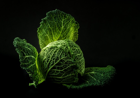 양배추즙의-효능