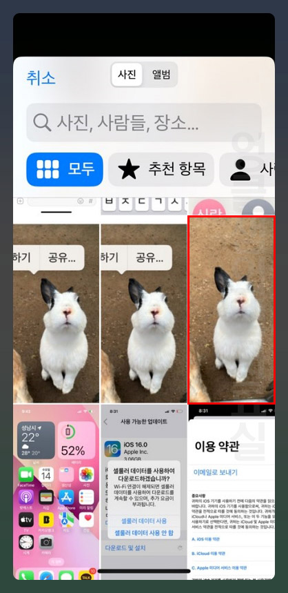 아이폰 사진 선택