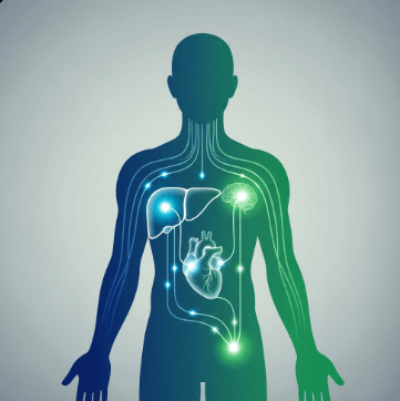 콜레스테롤 정상수치 완벽 정리2