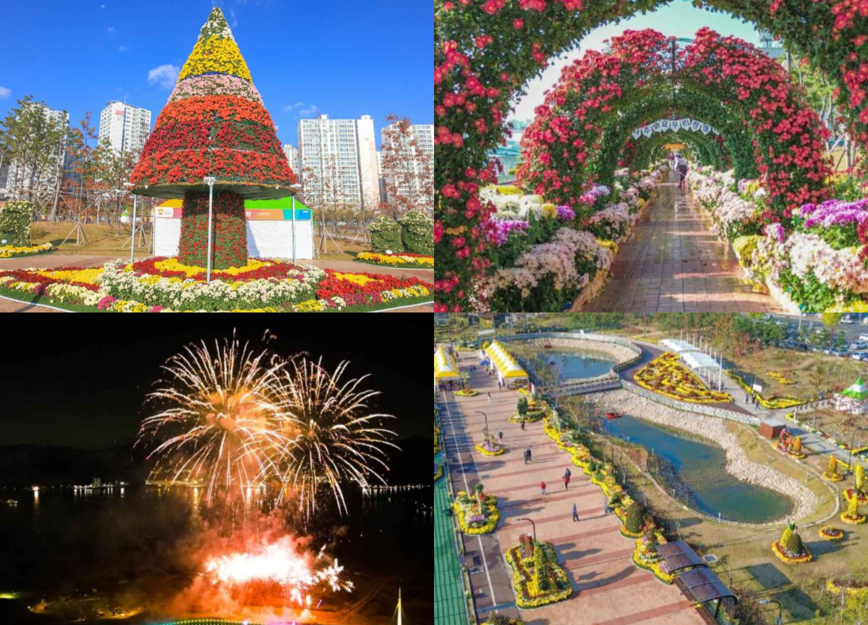마산 가고파 국화축제