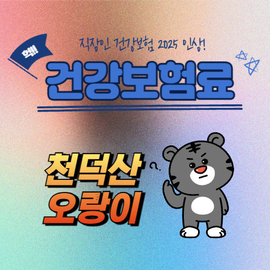 건강보험료 인상요인 2025