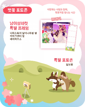 남이섬 벚꽃 포토존 이미지 출처: 남이섬 홈페이지