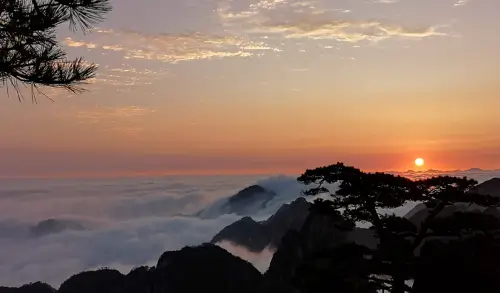 청량대에서-바라본-소나무와-운무-사이로-떠오르는-일출