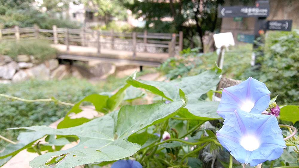 관악산·삼성산 '9월의 더위'