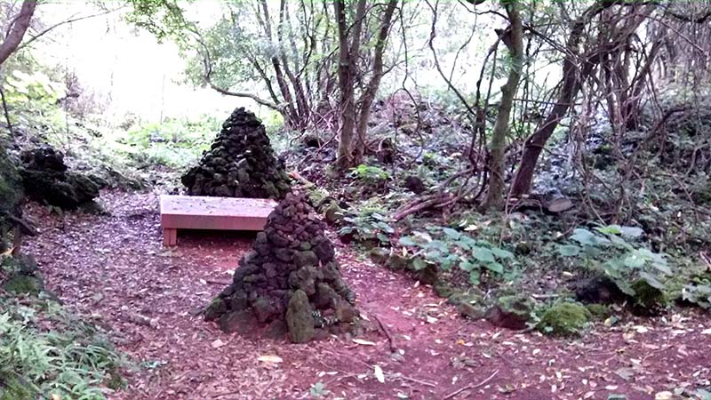 제주도(jejudo) 화순곶자왈