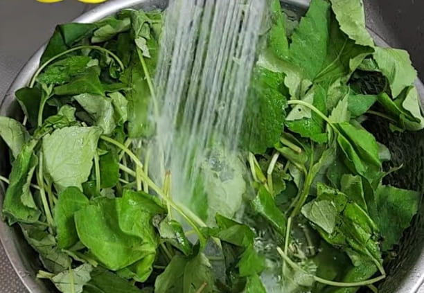 취나물 무침 씻는 인포그래픽