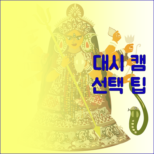 대시 캠을 선택할 때 고려해야 할 필