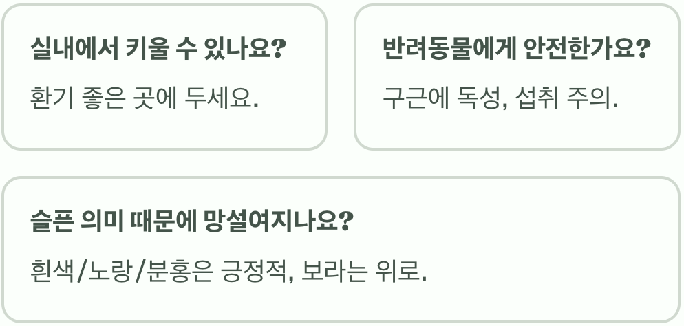히아신스 꽃말과 색상별 의미 총정리