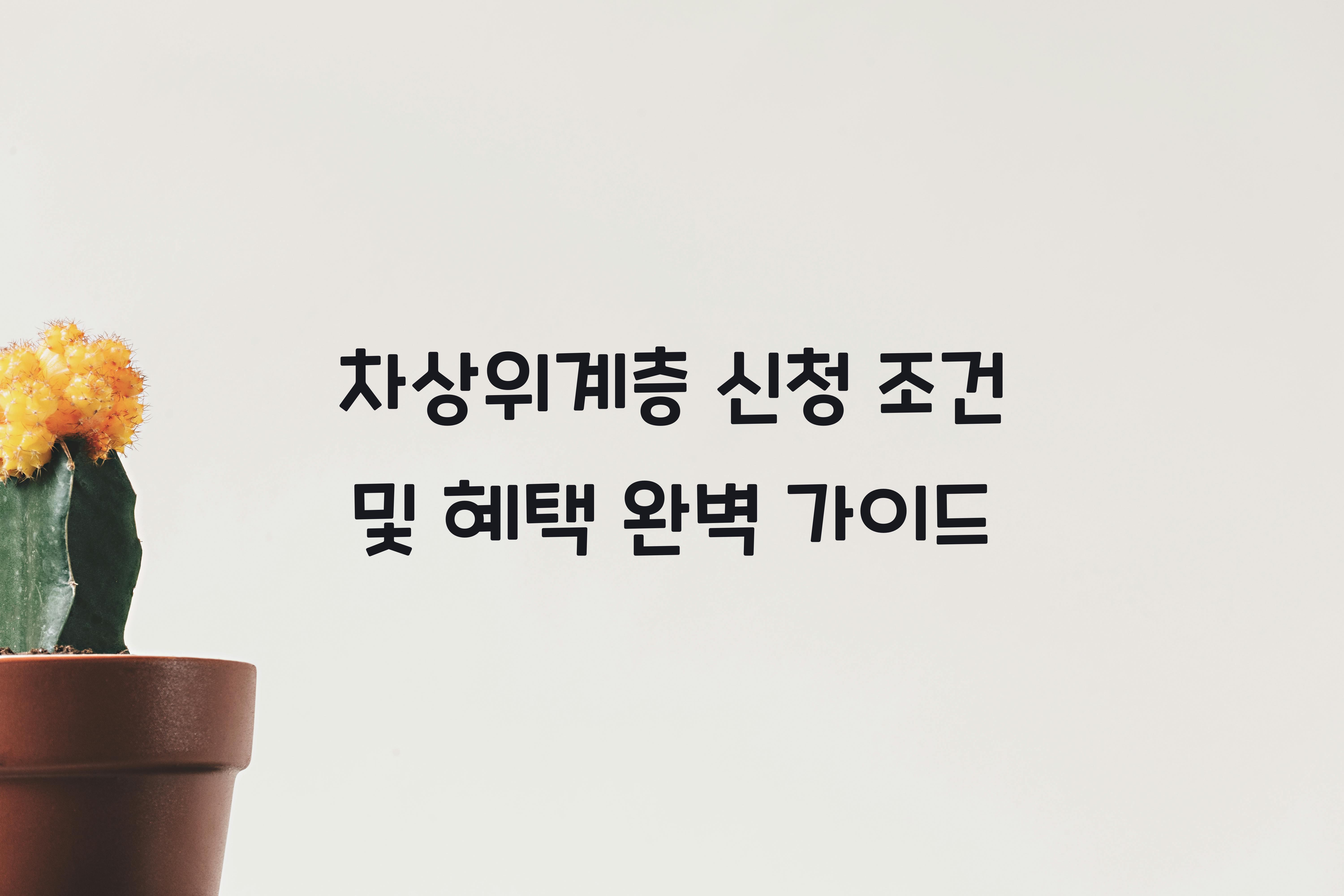 차상위계층 신청 조건