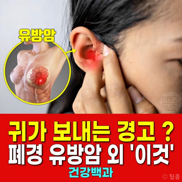귀 건강 유방암 귀지 폐경 이명 돌기 신장 귓불주름 심장