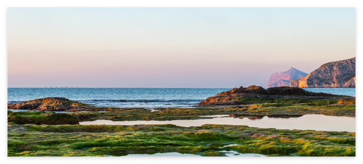 중금속 해독 방법