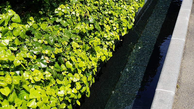 Daunt waterway 도은트 수로