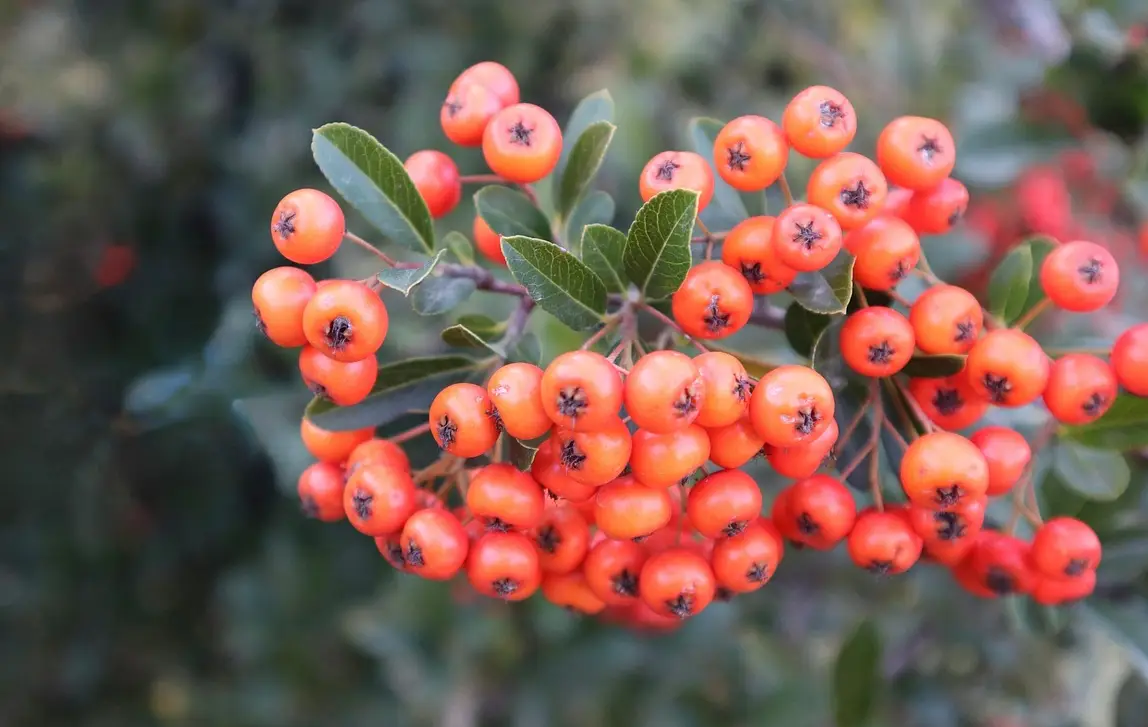 손해평가사 시험일정 시험과목 합격률