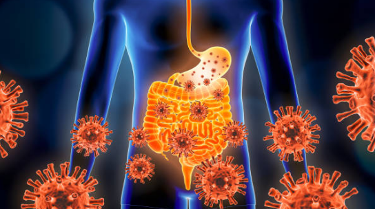 장염 증상, 원인, 빨리낫는법 총정리 (2024ver)