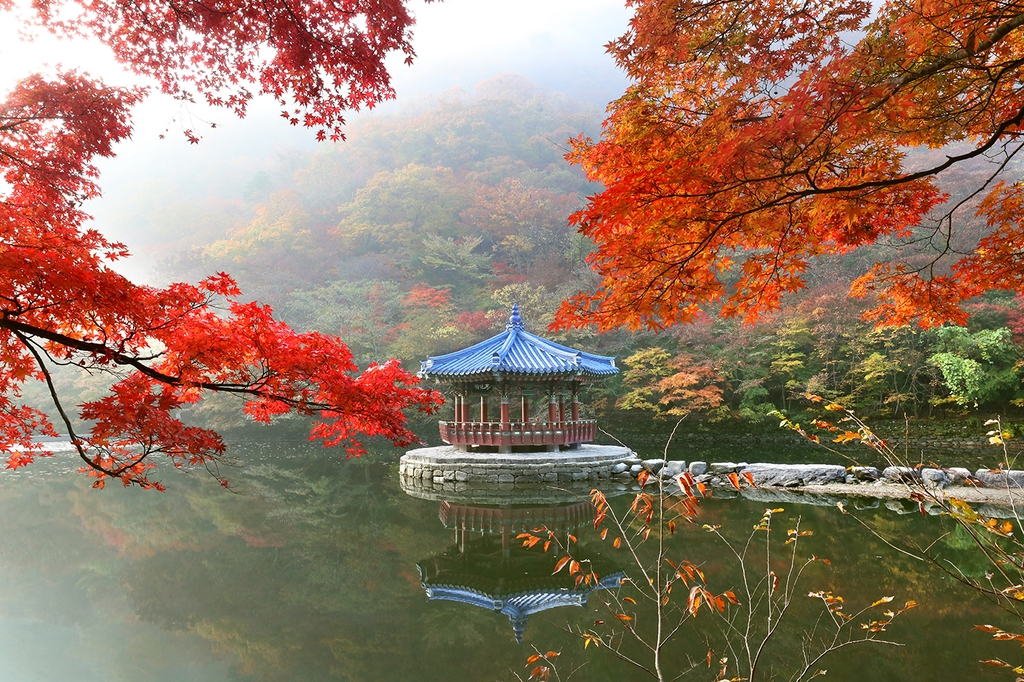 내장산 단품