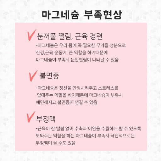 마그네슘 보충제