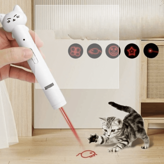 레이저 포인터 장난감