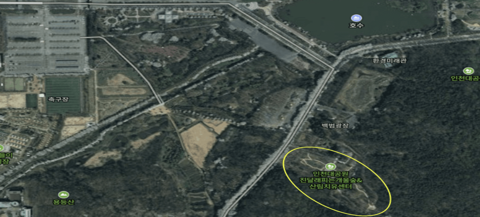 인천대 공원 개울숲