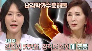 관절 건강 난각막가수분해물 효능 제품 비교