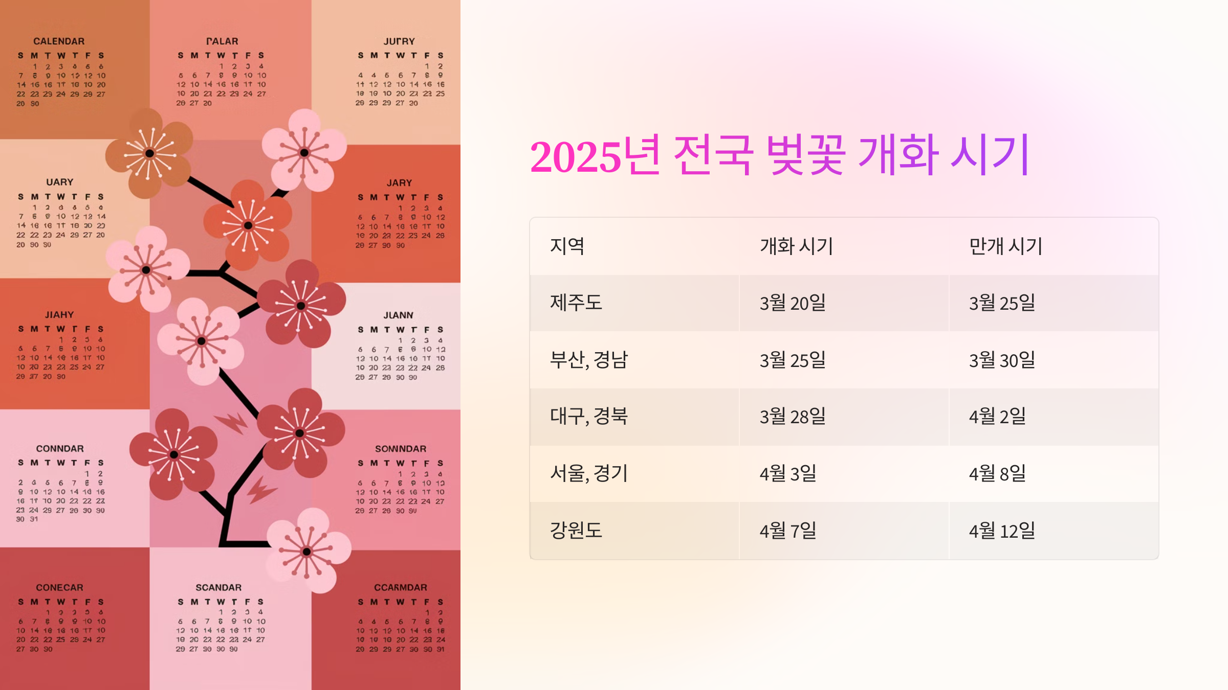 🌸 2025년 전국 벚꽃 개화 시기