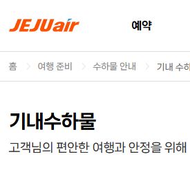 비행기 기내 반입 금지 가능 물품