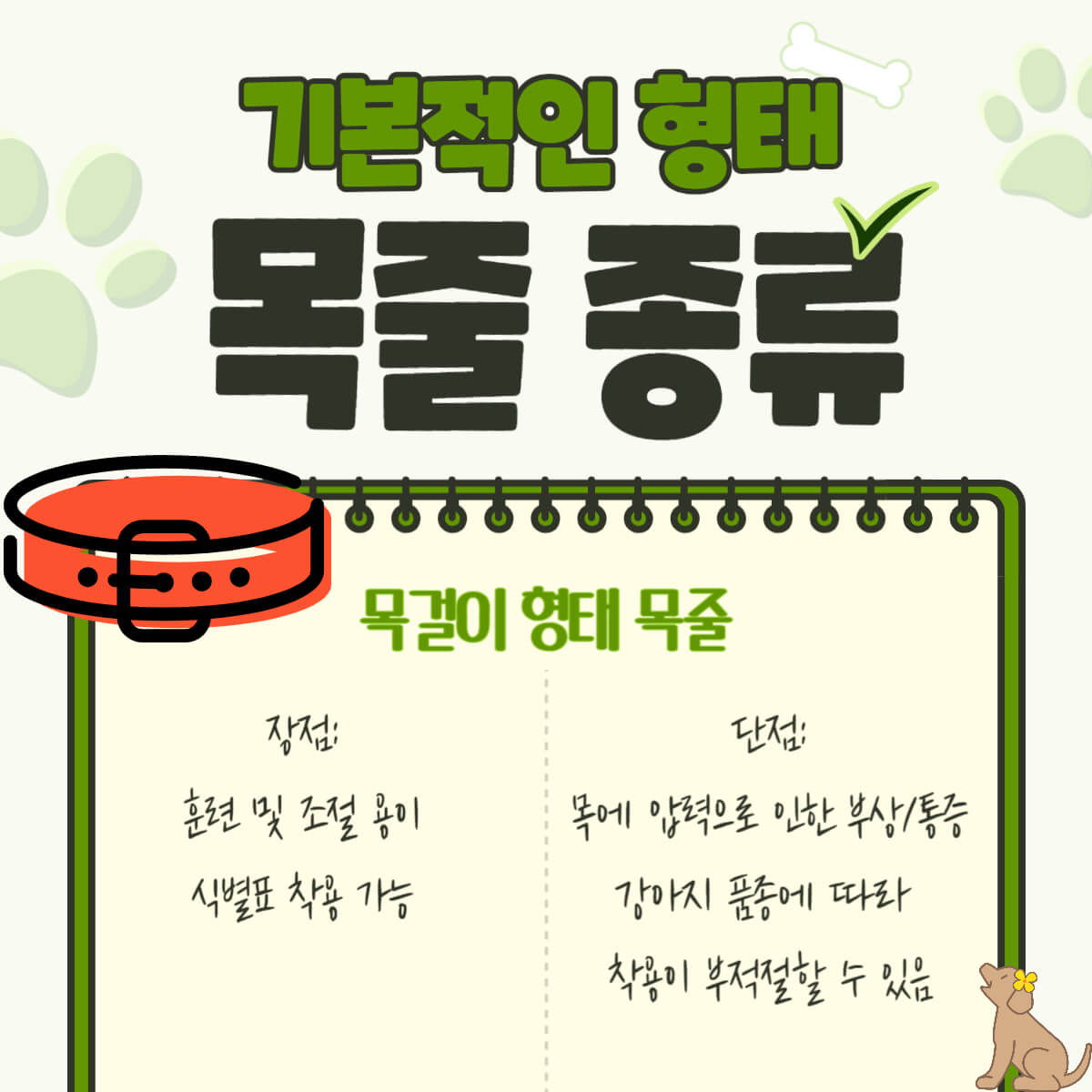 강아지 반려견 목줄 종류 특징 추천
