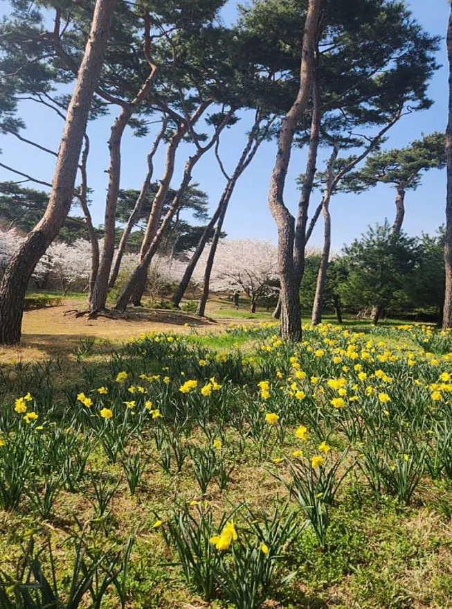 송곡서원