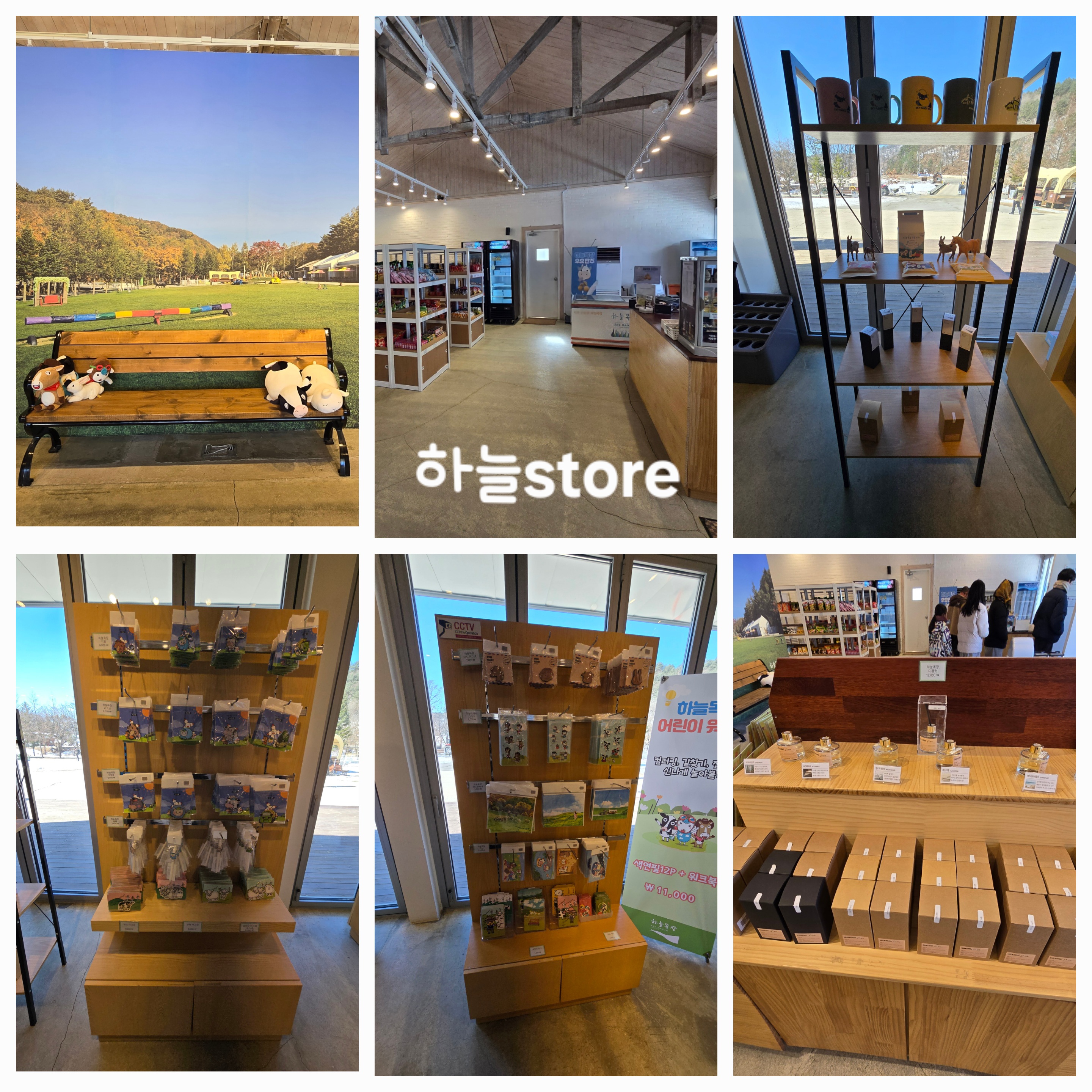 대관령 하늘목장 평창가볼만한곳 횡계가볼만한곳 .체험비.입장료