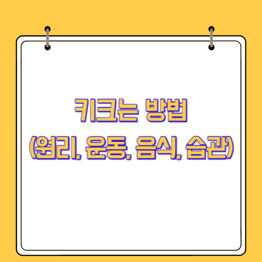 키크는 방법(원리, 운동, 음식, 습관)