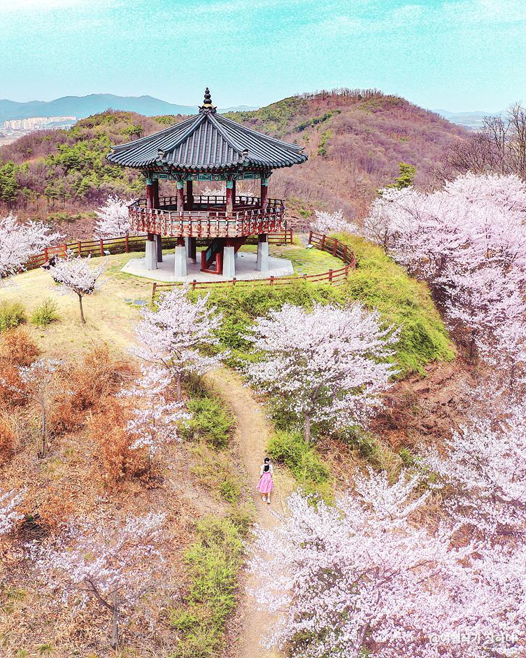 농암정