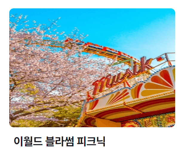 2024 벚꽃축제
