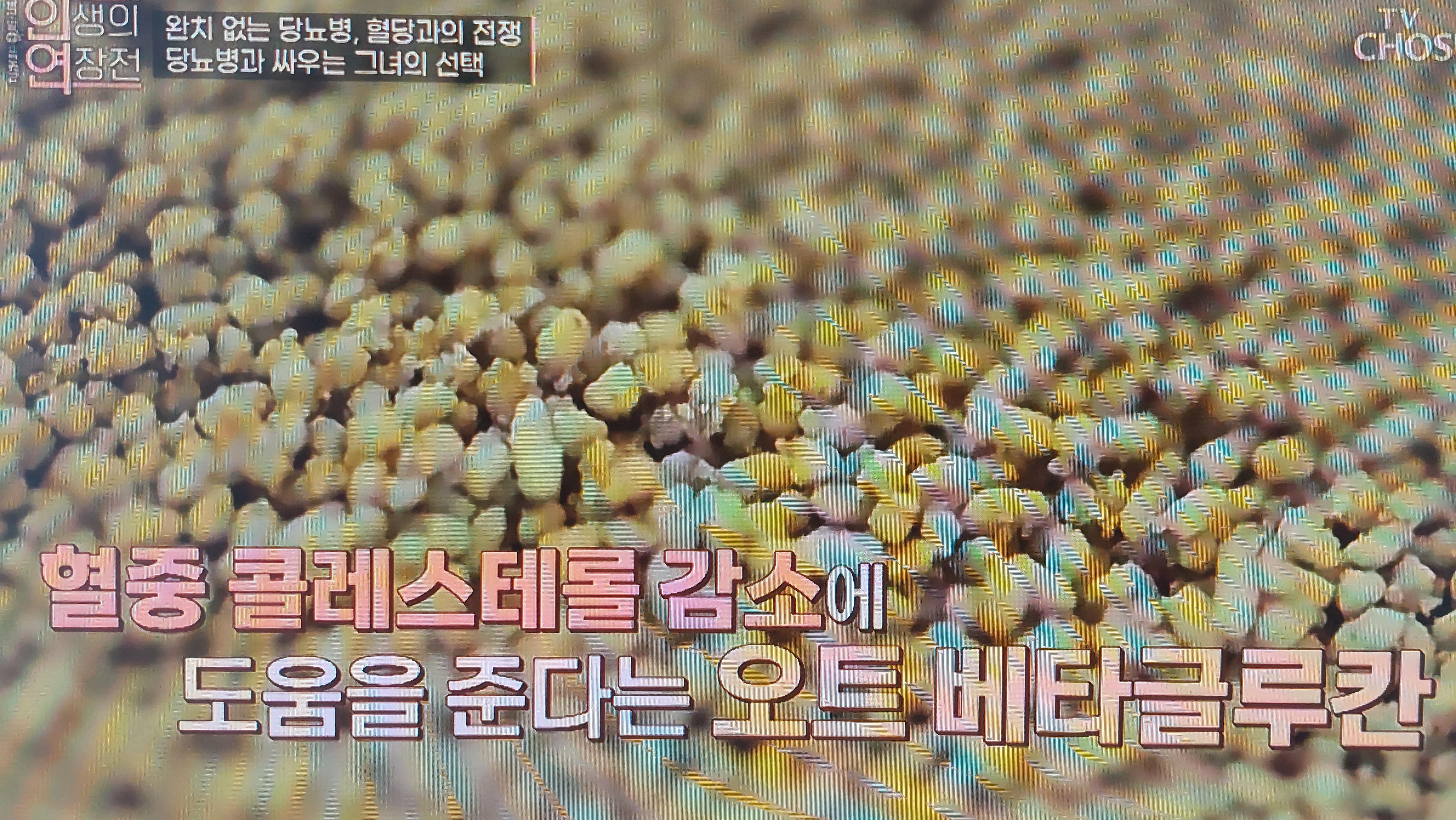 오트베타글루칸 효능