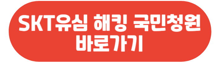 SKT 해킹 보상금