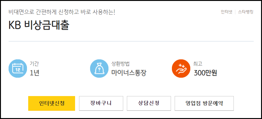 국민은행 비상금대출