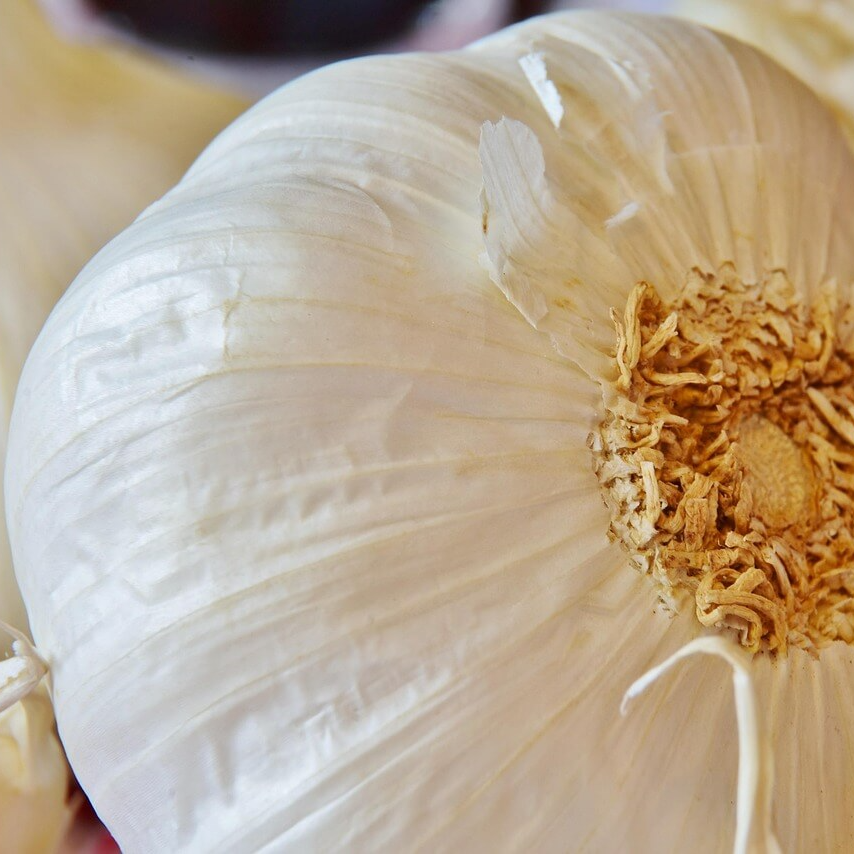 감기에 좋은 음식 5가지 사진 11