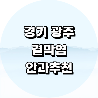 경기도 광주 안과