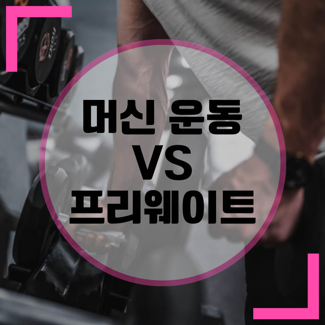 머신운동과 프리웨이트 차이