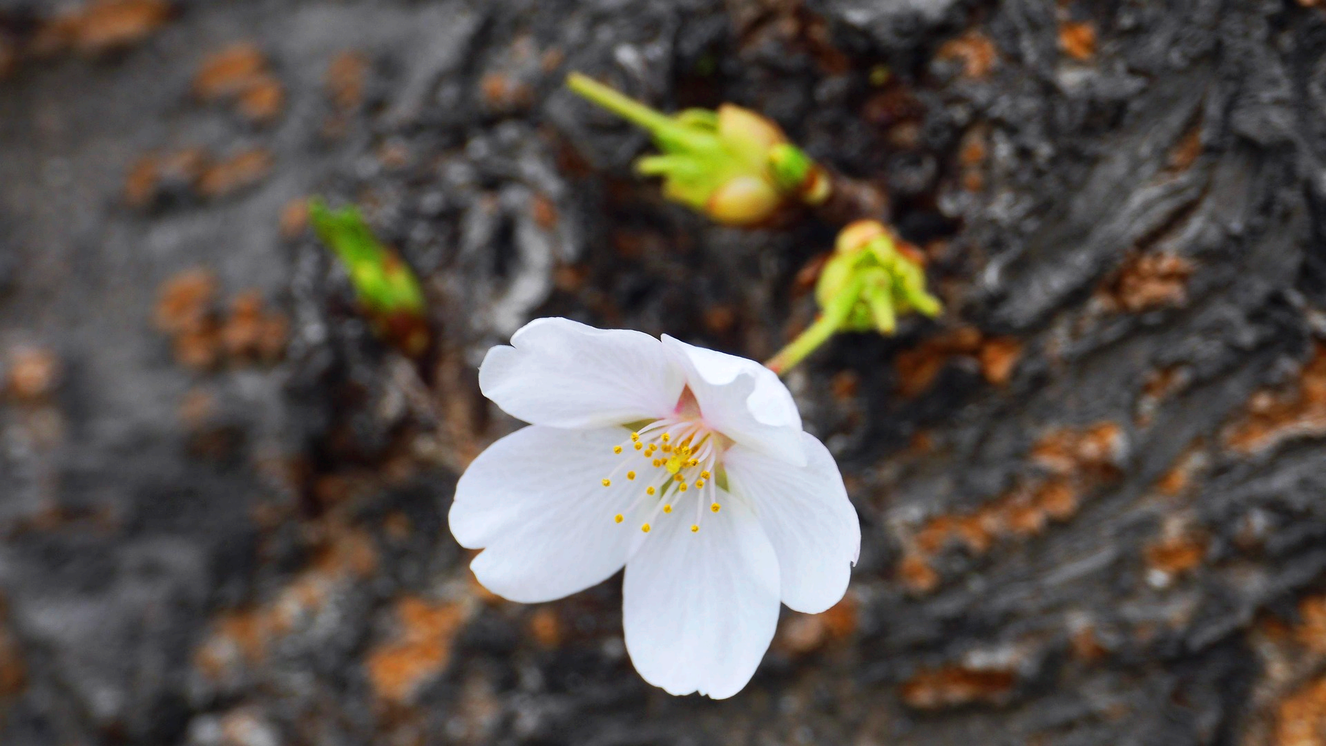 숙박 세일 페스타