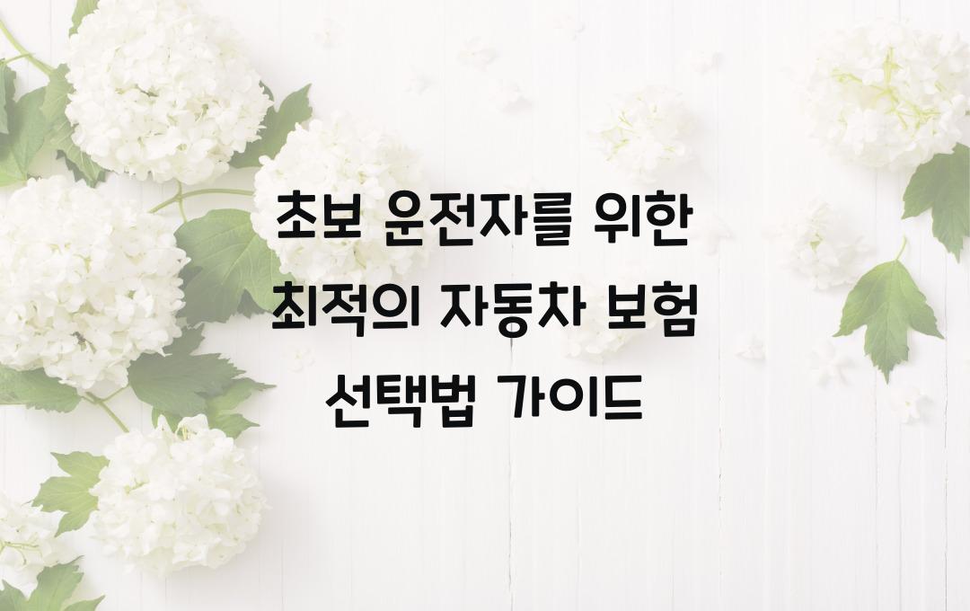 초보 운전자를 위한 최적의 자동차 보험 선택법