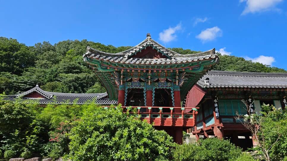 속초 신흥사 : 설악산의 숨결과 통일의 염원이 머무는 곳 설악산의 깊은 산문을 지키는 천년 고찰