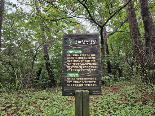 남원 가볼만한 곳- 애기봉에서 맨발걷기, 산책, 등산하세요